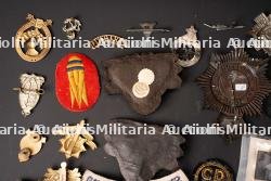 Insignes britannique. British insignias. — photo 9