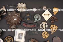 Insignes britannique. British insignias. — miniature 10