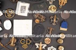 Insignes britannique. British insignias. — miniature 11