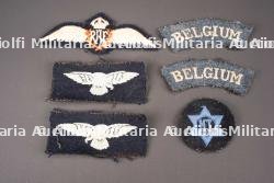 Insignes RAF Belge. Belgian RAF insignia.