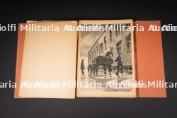 Documents et ouvrages alliés. Allied documents and publications. — photo 7