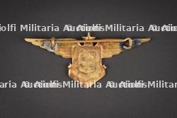 Insigne FA FL. FAFL insignia. — photo 2