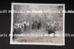 Photo de presse FFI. FFI press photograph.