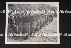 Photo de presse FFI. FFI press photograph. — photo 1