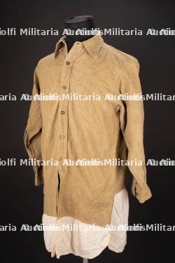 Chemise britannique. British shirt.