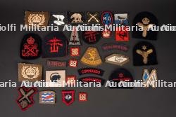 Insignes britannique. British insignias.