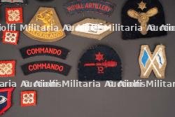 Insignes britannique. British insignias. — miniature 4