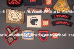 Insignes britannique. British insignias. — miniature 5