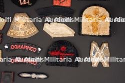 Insignes britannique. British insignias. — miniature 9