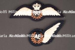 Brevets RAF. British RAF qualification badge.