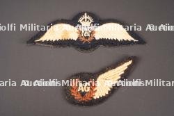 Brevets RAF. British RAF qualification badge.