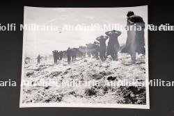 Photo de presse Utah Beach.