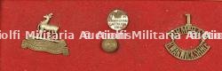 Ensemble d'insignes du 1st Birmingham Pals Battalion Royal Warwickshire. Badge grouping of the 1st Birmingham Pals Battalion Royal Warwickshire Regiment