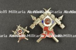 Ensemble d'insignes bataillons Thaï. Grouping of Thai Battalion insignia.