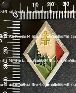 FRANCE Dpt71 INSIGNES FFI. France FFI insignia Department 71