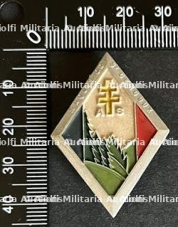 FRANCE Dpt71 INSIGNES FFI. France FFI insignia Department 71