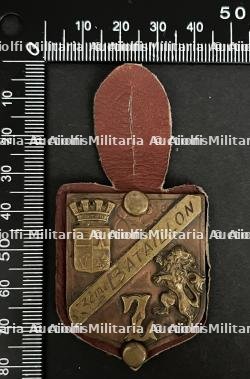 FRANCE Dpt33 INSIGNES FFI. France FFI insignia Department 33