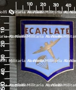 FRANCE INSIGNES FFI RESEAUX. France FFI networks insignia