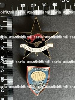 FRANCE INSIGNES FFI RESEAUX. France FFI networks insignia