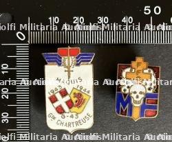 FRANCE INSIGNES FFI. France FFI insignia