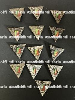 FRANCE LEGION PARACHUTISTES. France Foreign Legion paratroopers