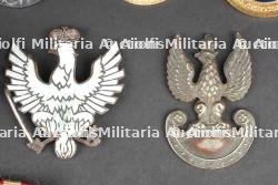 Insignes polonais. Polish insignia. — miniature 6
