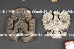 Insignes polonais. Polish insignia. — miniature 13