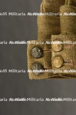 Calots britannique. — photo 2