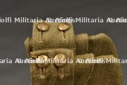 Calots britannique. — photo 2