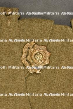 Calots britannique. — photo 3