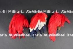 Plumets retombants. Falling plumes.