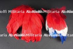 Plumets retombants. Falling plumes.