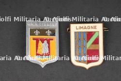 Insignes GMR. GMR Badges.