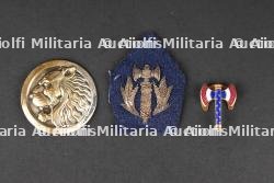 Insignes GMR et Vichy. GMR and Vichy badges