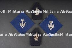 Pattes de col Vichy. Vichy collar tabs