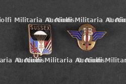 Ensemble réductions Insignes France libre et Sussex. Set of miniature badges France Libre and Sussex