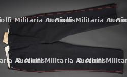 Pantalon d'officier de Pionnier allemand. German pioneer officer’s trousers
