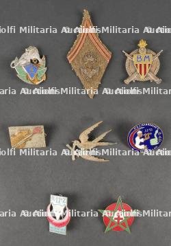 Lot d'insignes troupes d'Afrique. African troops insignia.