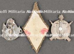 Lot d'insignes troupes d'Afrique. African troops insignia. — photo 7