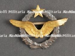 Brevet de pilote années 1940. Pilot brevet 1940.