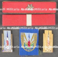 Lot d'insignes Chantiers de Jeunesse. Lot of Youth Work insignia — photo 6