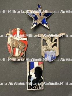 FRANCE TROUPES METROPOLITAINES ALPINS. FRANCE METROPOLITAN ALPINE TROOPS.