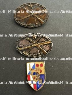 FRANCE TROUPES METROPOLITAINES ALPINS. FRANCE METROPOLITAN ALPINE TROOPS.