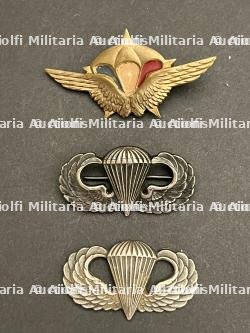FRANCE LIBERATION PARACHUTISTES. FRENCH LIBERATION PARATROOPERS.
