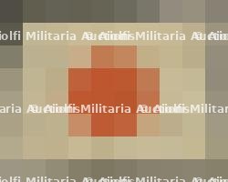 Drapeau japonais. Japanese flag.