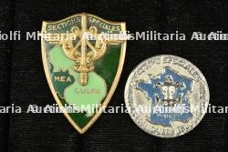 Lot de 2 insignes des Sections Spéciales en Indochine