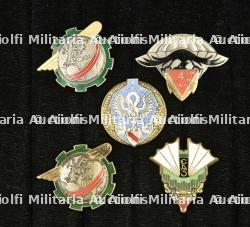 Lot de 5 insignes Livraison par Air