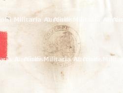 Brassards infirmier US. Set of American nurse armbands — miniature 3
