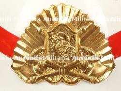 Argentine, casque de sapeur-pompier. Argentina, firefighter helmet. — miniature 4