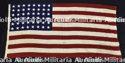 Drapeau US 48 étoiles